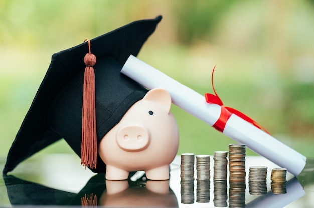 Is It Wise to Utilize Student Loans for Graduate Studies?